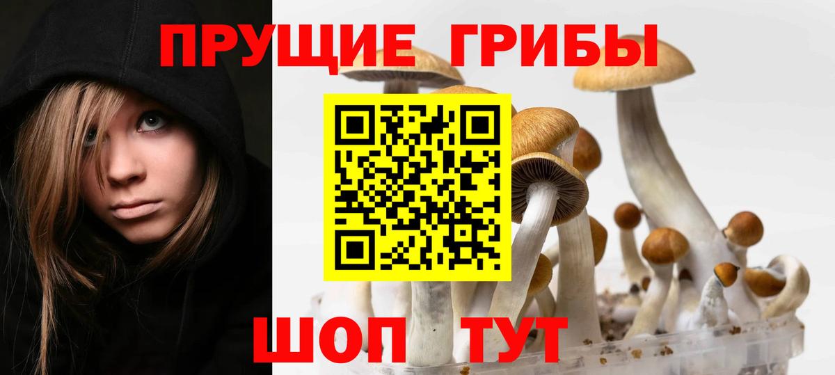 Галлюциногенные грибы мицелий Севастополь