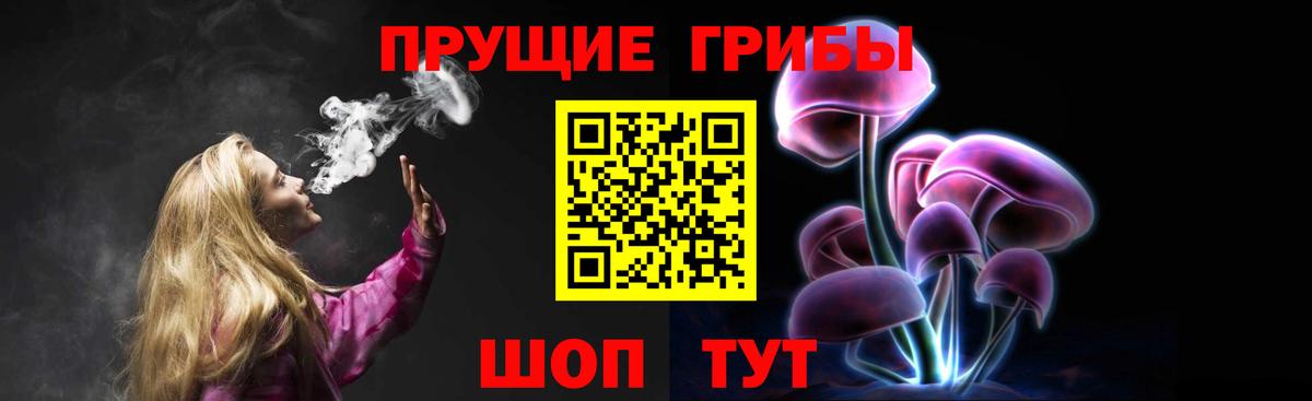 Псилоцибиновые грибы GOLDEN TEACHER  Псилоцибиновые грибы Cubensis  Севастополь  Вход с VPN 